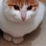 天